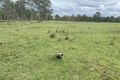Property photo of 26 Kelly Road Spring Creek QLD 4343