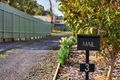 Property photo of 3 Expedition Boulevard Meadows SA 5201