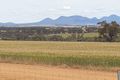 Property photo of 16 Witham Street Newdegate WA 6355