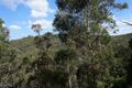 Property photo of 26 Parkes Crescent Faulconbridge NSW 2776