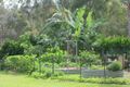 Property photo of 75 Paradise Drive Weyba Downs QLD 4562