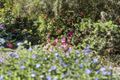 Property photo of 108 Campbells Road Dungay NSW 2484