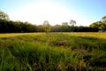 Property photo of 17 Lake Cooroibah Road Cooroibah QLD 4565