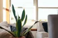 Property photo of 29 Nixon Street Devonport TAS 7310