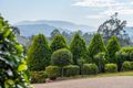 Property photo of 19 Edinglassie Drive Muswellbrook NSW 2333