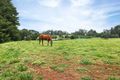 Property photo of 102 Monbulk-Seville Road Silvan VIC 3795