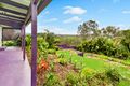 Property photo of 78 Pohon Drive Tanah Merah QLD 4128