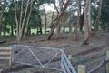 Property photo of 2641 Colac-Forrest Road Forrest VIC 3236
