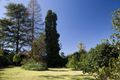 Property photo of 19 Taunton Street Pymble NSW 2073
