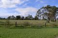 Property photo of 134 Allan Cunningham Road Scone NSW 2337