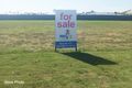 Property photo of 419 Lilac Avenue Lochinvar NSW 2321