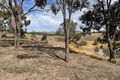 Property photo of 904 Sedgwick Road Sedgwick VIC 3551