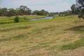 Property photo of 4 Netley Avenue Lockleys SA 5032