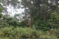 Property photo of 21 June Avenue Basin View NSW 2540