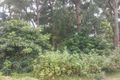 Property photo of 21 June Avenue Basin View NSW 2540