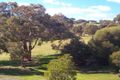 Property photo of 49/62 Seaview Avenue Wirrina Cove SA 5204