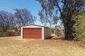 Property photo of 13 Corcoran Street Berrigan NSW 2712