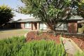 Property photo of 8 Macarthur Street Nuriootpa SA 5355
