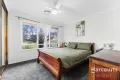 Property photo of 31 Benaud Street Greystanes NSW 2145