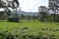 Property photo of 254 Tableland Road Taunton QLD 4674