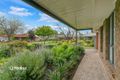 Property photo of 61 Lynton Avenue Gilles Plains SA 5086