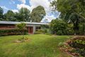 Property photo of 382 Shephards Road Bielsdown Hills NSW 2453