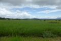 Property photo of 507 Dinner Creek Road Eubenangee QLD 4860
