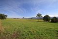 Property photo of 30A Lidbetter Road Back Forest NSW 2535