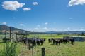 Property photo of 231 Church Street Gloucester NSW 2422