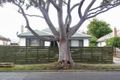 Property photo of 53 Dandenong Road East Frankston VIC 3199