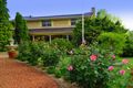 Property photo of 4 Denton Close Windella NSW 2320
