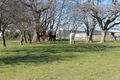 Property photo of 916 Emmaville Road Yarrowford NSW 2370