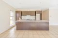 Property photo of 1B Beech Avenue Campbelltown SA 5074