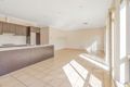 Property photo of 1B Beech Avenue Campbelltown SA 5074