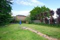 Property photo of 43 Alverstone Street Riverwood NSW 2210