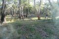 Property photo of 132 Webbs Creek Road Webbs Creek NSW 2775