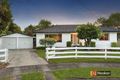 Property photo of 30 Warrigal Street Blacktown NSW 2148