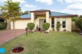 Property photo of 3 Benjamin Court Springfield Lakes QLD 4300