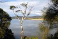 Property photo of 31 Esplanade Triabunna TAS 7190