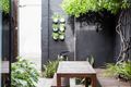 Property photo of 41 Iris Street Paddington NSW 2021