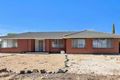 Property photo of 77 Daniel Avenue Globe Derby Park SA 5110