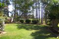 Property photo of 19 Swordfish Court Birkdale QLD 4159