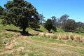 Property photo of 965 Tyringham Road North Dorrigo NSW 2453