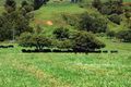 Property photo of 965 Tyringham Road North Dorrigo NSW 2453