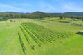 Property photo of D2580 Princes Highway Wandandian NSW 2540