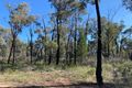 Property photo of 2111 Carlisle Road Fifield NSW 2875