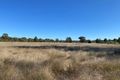 Property photo of 2111 Carlisle Road Fifield NSW 2875