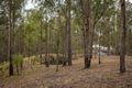 Property photo of 72 Caldecotts Road Wapengo NSW 2550