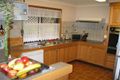 Property photo of 48 Spindle Street Palm Beach QLD 4221