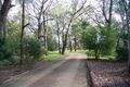 Property photo of 316 Stumpy Gully Road Balnarring VIC 3926